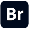 Adobe Bridge 2026