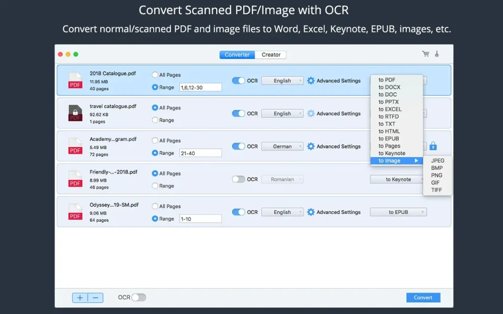 Cisdem PDF Converter OCR