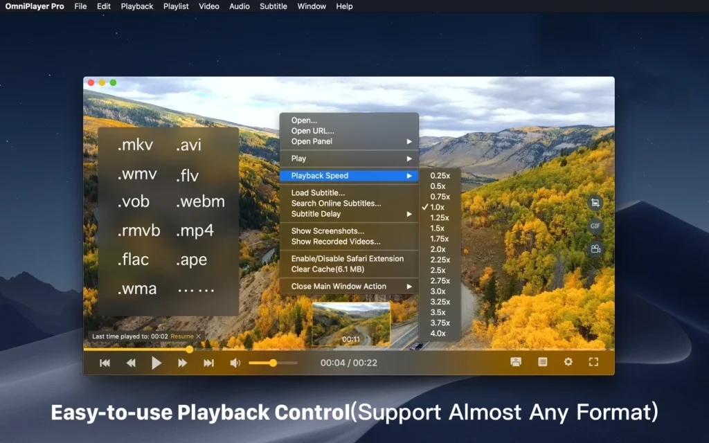 OmniPlayer