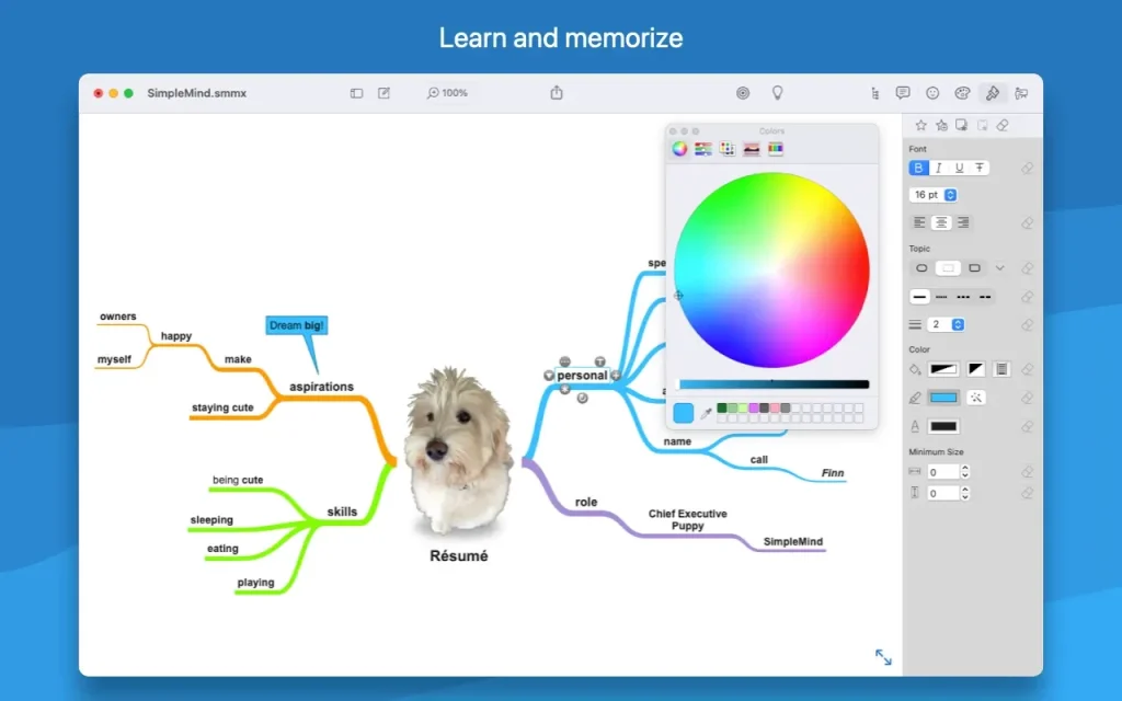 SimpleMind Pro