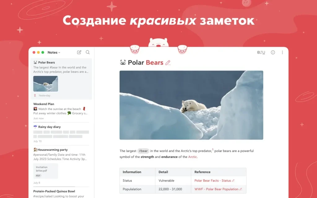Bear 