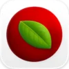 Lingon Pro